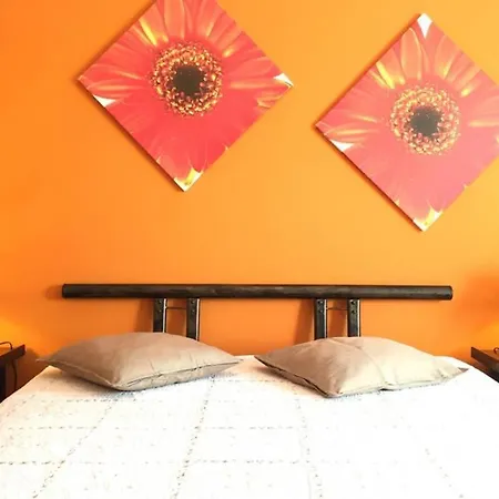 Edificio Sao Joao Areias Strip L Oura Appartement *